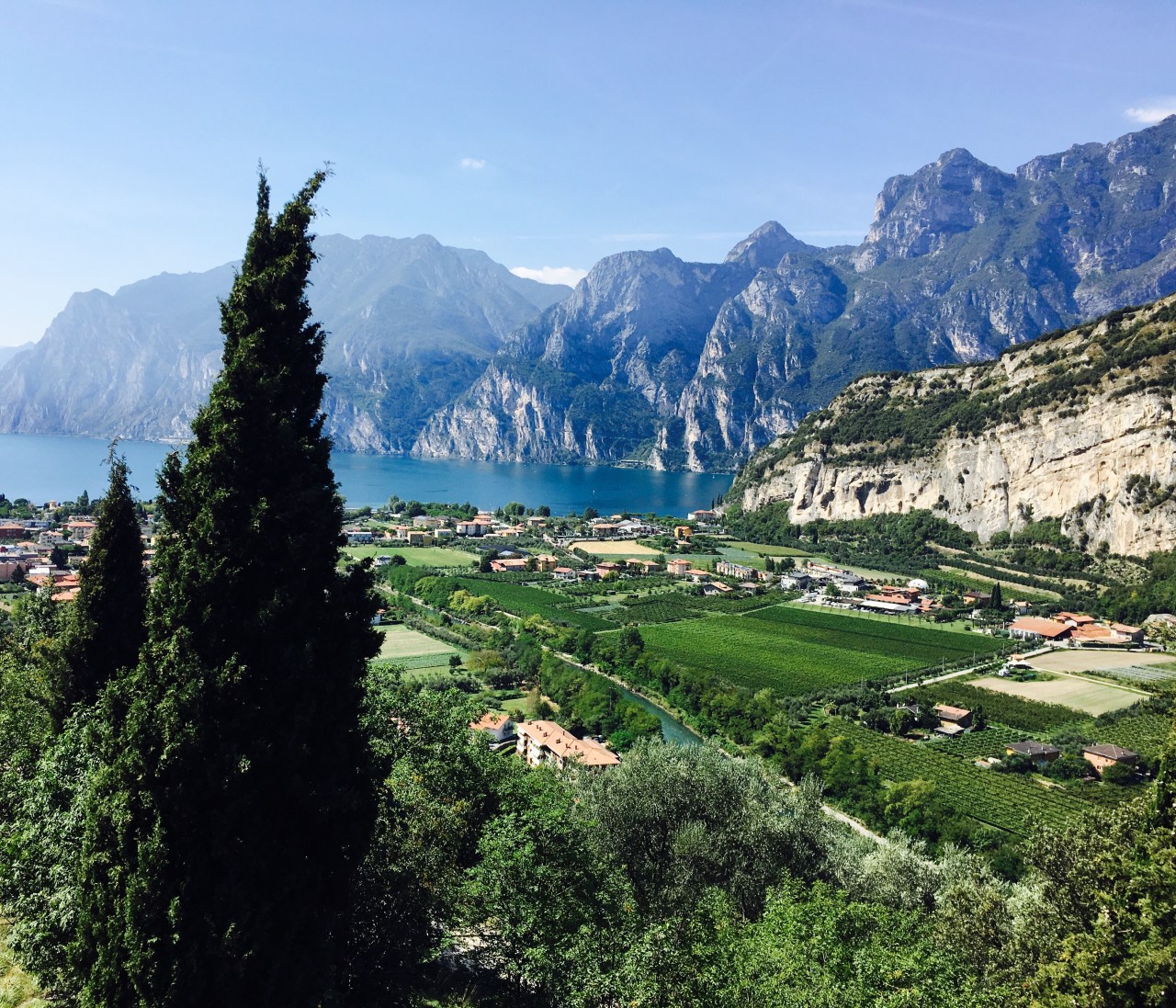 A visit from&nbsp;home